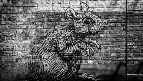 Taton Mo&iuml;se/Unsplash.com nuotr.