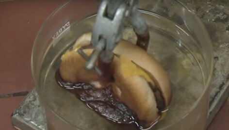 Mėsainis druskos rūg&scaron;tyje