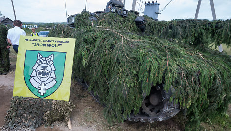 Tarptautinių pratybų „Geležinis vilkas 2017“ svečių diena