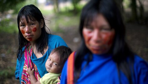 I&scaron; savo gyvenamų teritorijų Peru džiunglėse i&scaron;stumti a&scaron;aninkai kenčia nuo maisto trūkumo