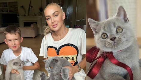 Oksana Pikul su sūnumi ir katėmis