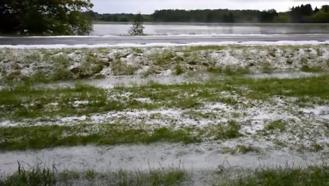 Sniegas Raseinių rajone