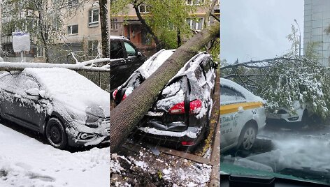 Gausiai pasnigus Maskvoje ant automobilių virto medžiai