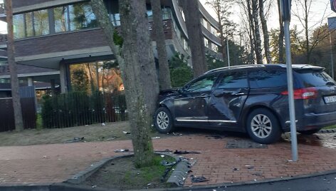 Po smūgio &bdquo;Citroen&ldquo; trenkėsi į medį.