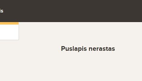 „Rinkėjo puslapis“ trečiadienio pavakarę nepasiekiamas