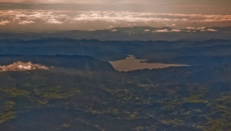 Te Urewera miškas