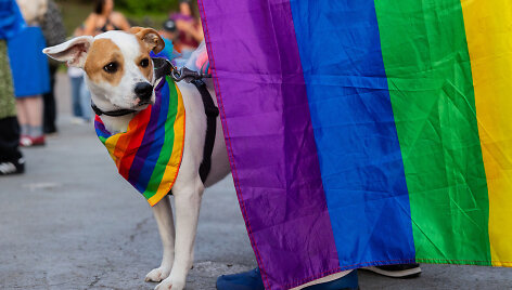 LGBT bendruomenės &bdquo;Už lygybę!&ldquo; koncertas
