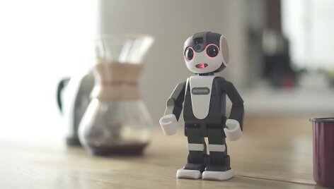 RoboHon &ndash; ir robotas, ir telefonas.