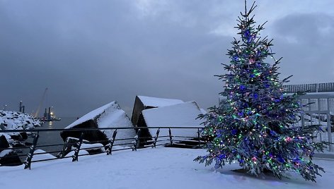 Klaipėdos molą papuošė Kalėdų eglė