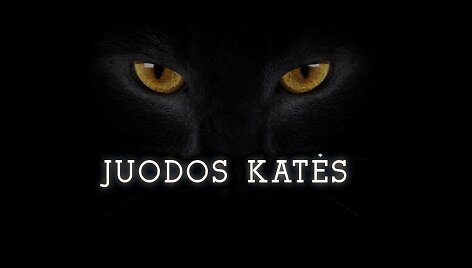 Serialas &bdquo;Juodos katės&ldquo;