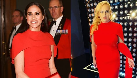 Meghan Markle ir Rebel Wilson, vilkinčios tokią pat suknelę