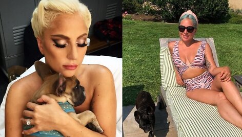 Lady Gaga su savo &scaron;unimis