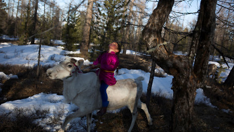 Mongolijos elnių augintojai