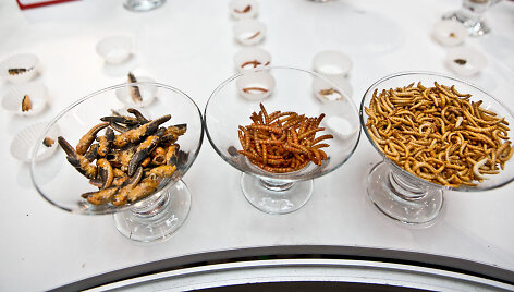 &bdquo;Pestaurant&ldquo; restorano atidarymas