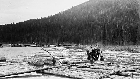 Lietuviai tremtyje. Tubilio upe tremtiniai plukdo sielius. Tubilis, Daursko r., Krasnojarsko k., 1955 m.