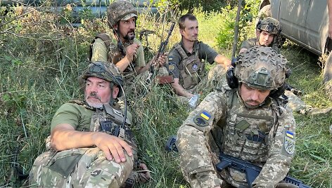Ukrainos kariai