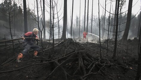 Mi&scaron;kų gaisrai &Scaron;vedijoje