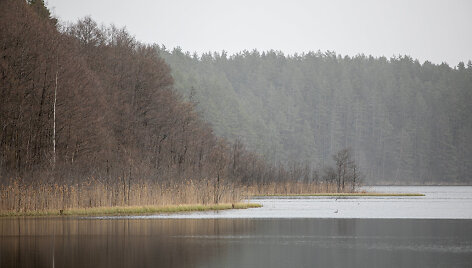 Pavasario pradžia prie Ilgio ežero