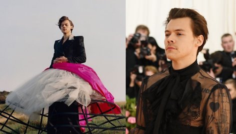 Harry Stylesas („Vogue“ fotosesijoje ir „Met Gala“ renginyje)