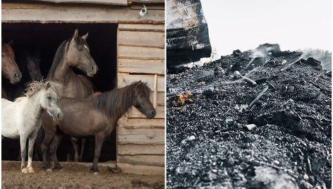 Arklių slėnyje įtariamas padegimas, arkliai neteko namų