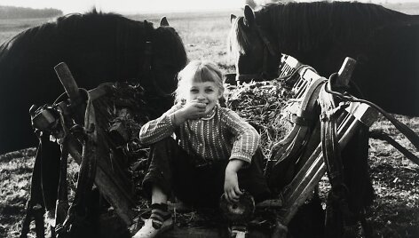 Vienkiemio vaikai, 1980
