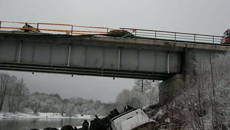 Vilkikas tragiškai nulėkė nuo skardžio