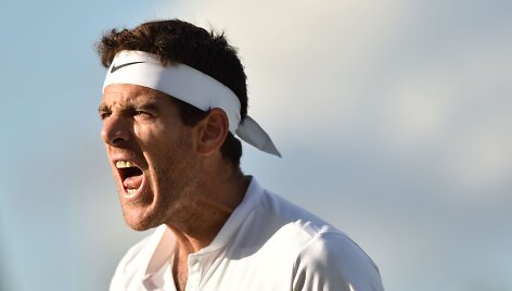 Juanas Martinas Del Potro