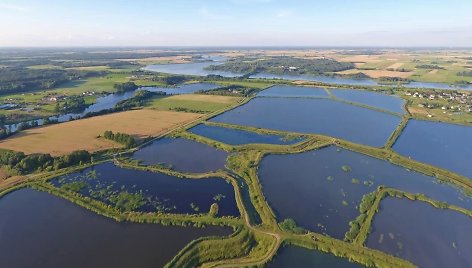 2022 metų duomenimis, Lietuvoje akvakultūrą plėtojo 67 ūkio subjektai.  