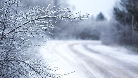 Sekmadienis Varnikų pažintiniame take