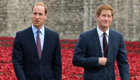 Princas Williamas ir princas Harry