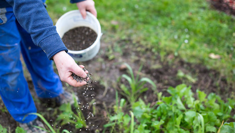 Biostimuliatorių naudojimas augalininkystėje 