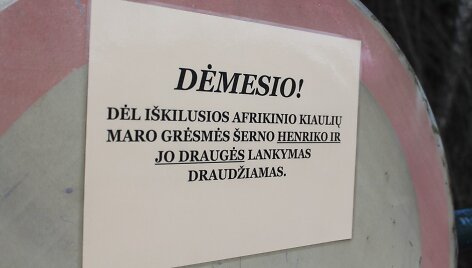 Eismą draudžiantis ženklas