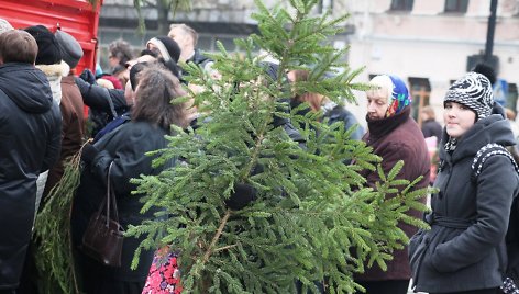 Šakų dalijimo akcija Panevėžyje