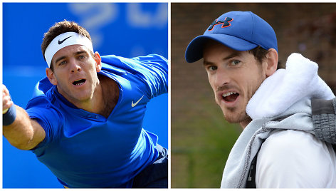 Juanas Martinas del Potro ir Andy Murray