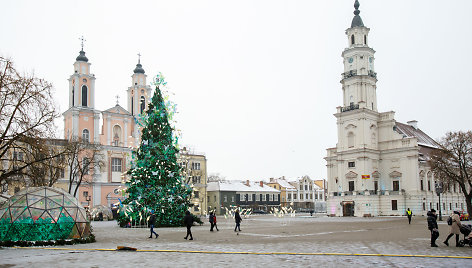 Kauno Kalėdų eglė