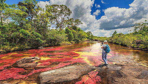 Cano Cristales upė