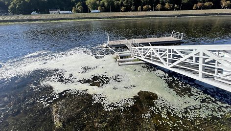 Nemune ties Kauno centru pastebėta galima tarša