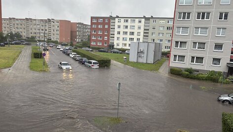 Liūtis Klaipėdoje apsėmė gatvę