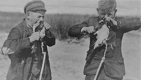 Varnų gaudymo sezono pradžia