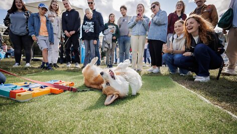 &bdquo;Corgi Race Vilnius 2025&ldquo;