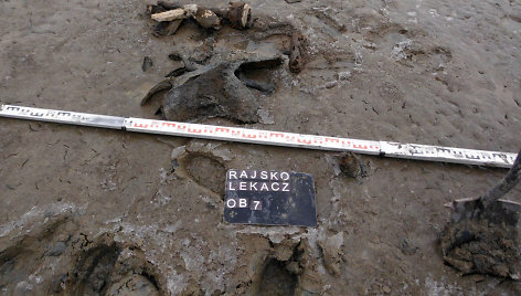 Ežere netoli Aušvico aptikta Antrojo pasaulinio karo laikų sovietinio bombonešio nuolaužų