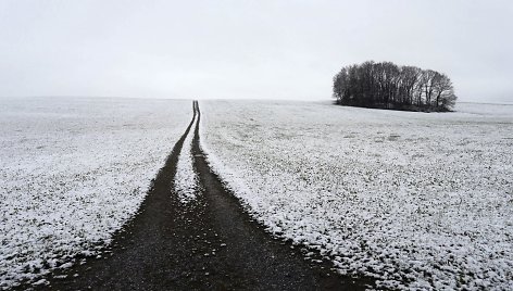 Apsnigtas laukas Vokietijoje