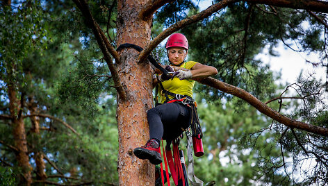 Arboristė Inga Gaidelytė