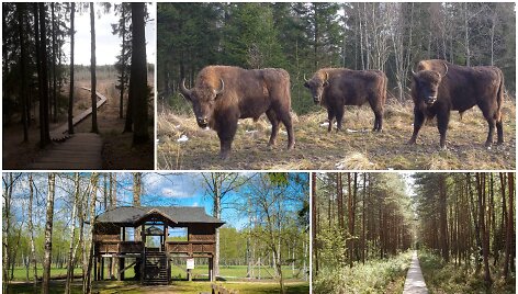 Ką veikti savaitgalį? Vertos aplankyti vietos mi&scaron;kuose