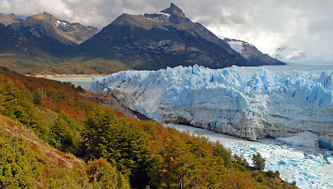Argentina, ledynas Patagonijoje