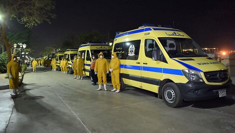 Pasitinkami kruizinio laivo keleiviai