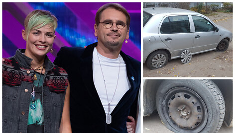 Subadytos Alnos Katinaitės automobilio padangos