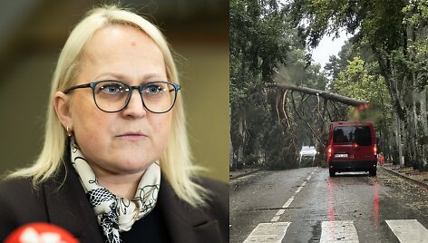 Ligita Girskienė, audra