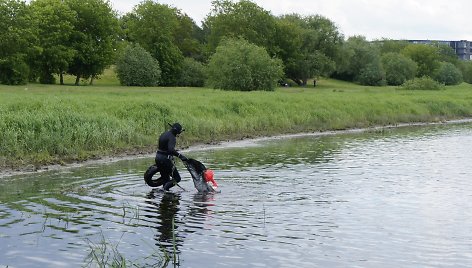 Upių ir pakrančių švarinimo akcija „River Cleanup“