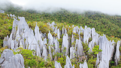 Gunung Mulu